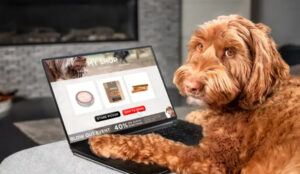 Assessing Chewy Stock